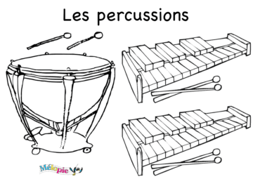 les percussions