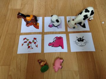 carte animaux